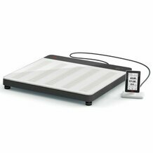 Flatbed Scale Seca 651